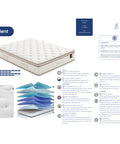 Colchão Molaflex Opulent - Colchoaria de Guimarães